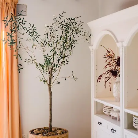 Holiday home Soul Farm Mas Els Igols